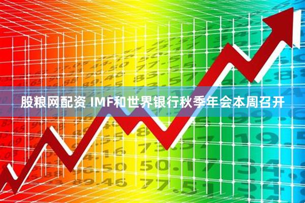 股粮网配资 IMF和世界银行秋季年会本周召开