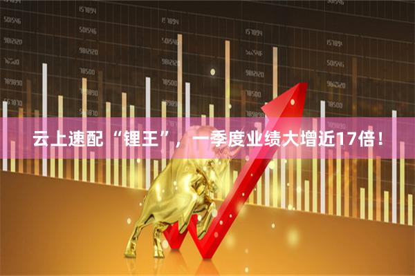 云上速配 “锂王”，一季度业绩大增近17倍！